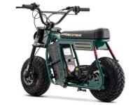 d60rgreen-3.jpg