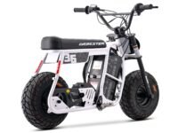 d60rwhite-6_1.jpg